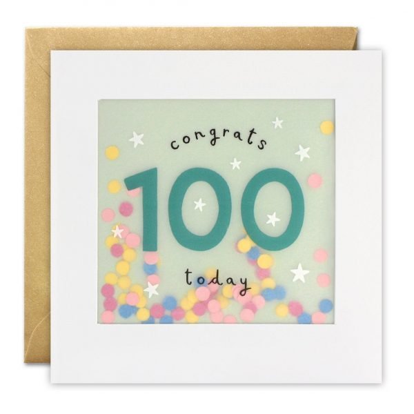 100th Birthday Stars Shakies Card From The Dotty House