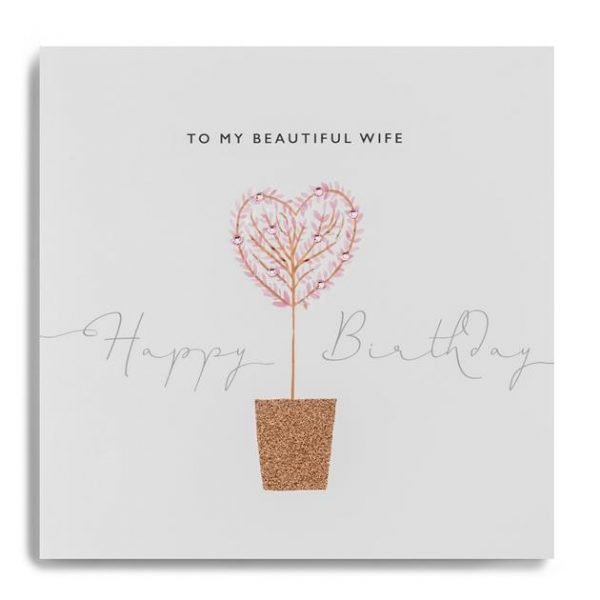 Happy Birthday to My Beautiful Wife Card
