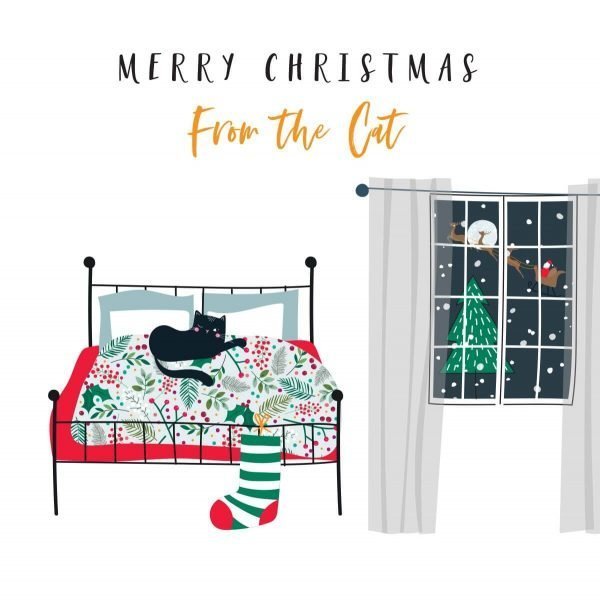 A Christmas card from the cat! A fun illustration of a cat on a bed with a Christmas stocking and a Christmas scene outside the bedroom window