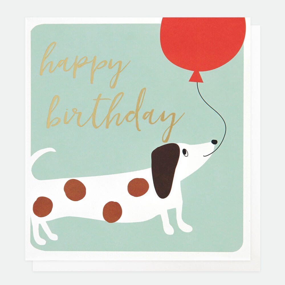 Sausage Dog Birthday Card from The Dotty House