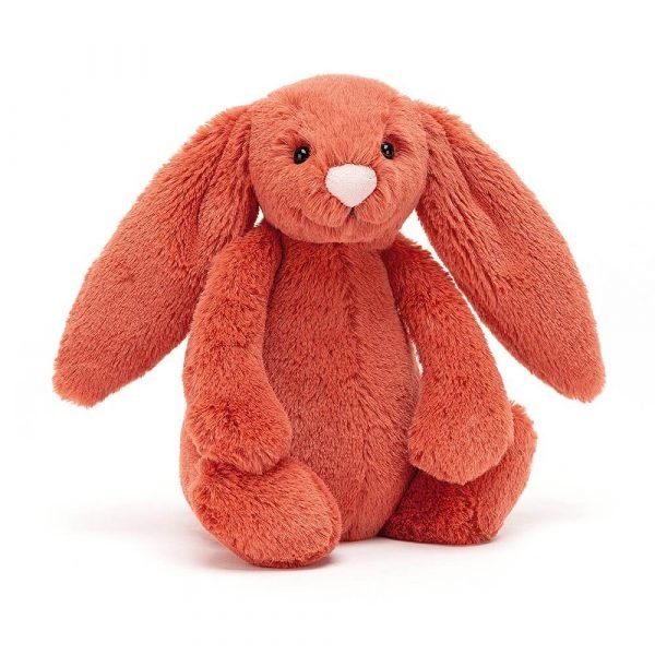 A cinnamon bunny soft toy