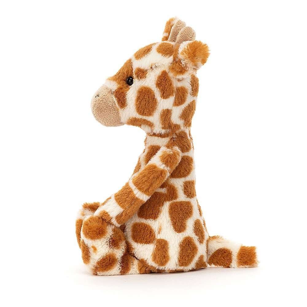 Jellycat Bashful Giraffe from The Dotty House