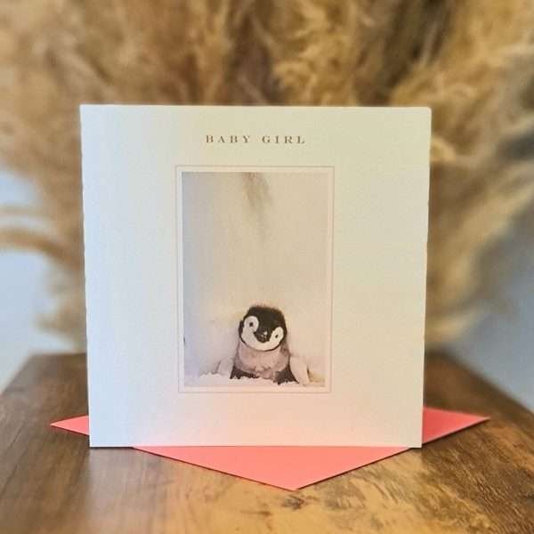 A new baby girl card with a photograph of a little penguin chick framed in pink with a pink envelope. The caption reads "Baby Girl"