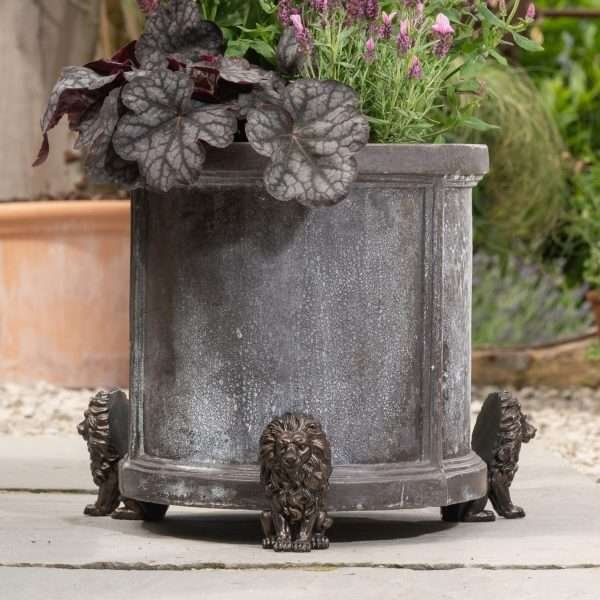 Antique Bronze Lion Potty Feet