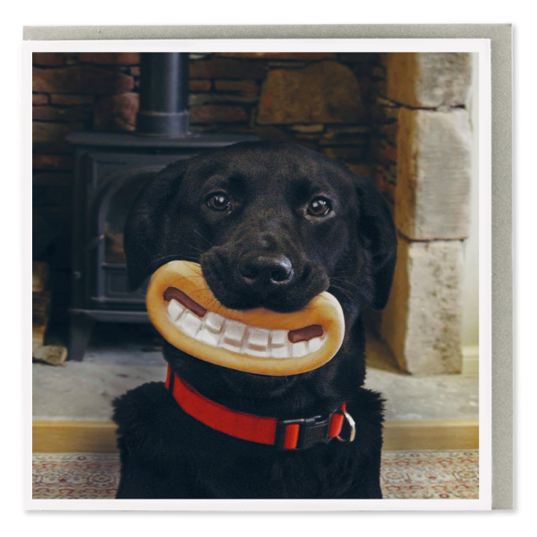 Smile Gromit Card