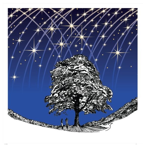 Stary Night Sycamore Gap Card