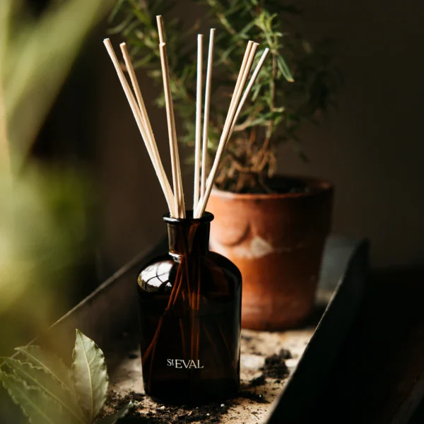 St. Eval Reed Diffuser - Bay and Rosemary